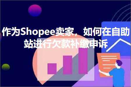 璺ㄥ鐢靛晢鐭ヨ瘑:浣滀负Shopee鍗栧锛屽浣曞湪鑷姪绔欒繘琛屾瑺娆捐ˉ缂寸敵璇? width=